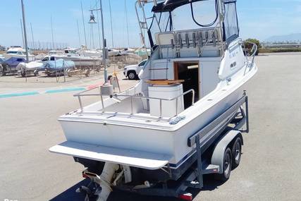 Skipjack 24 flybridge