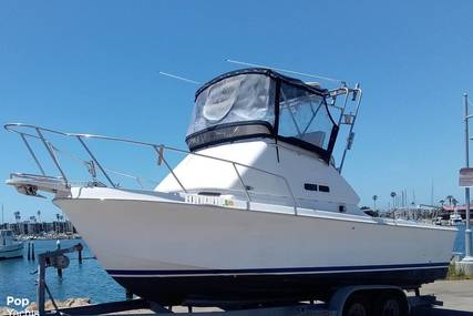 Skipjack 24 flybridge