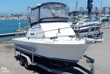 Skipjack 24 flybridge