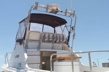 Skipjack 24 flybridge