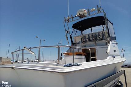 Skipjack 24 flybridge