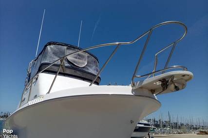 Skipjack 24 flybridge