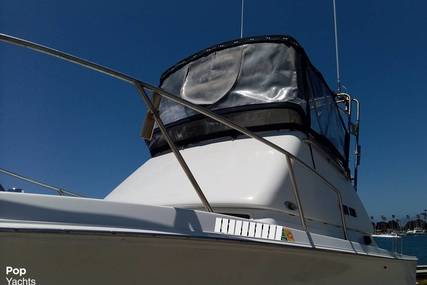 Skipjack 24 flybridge