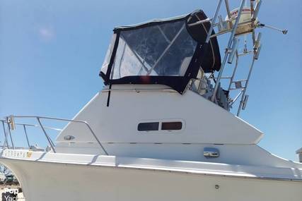 Skipjack 24 flybridge