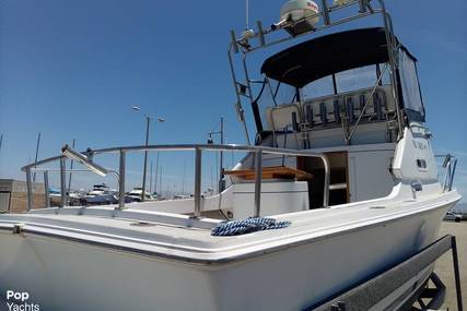 Skipjack 24 flybridge