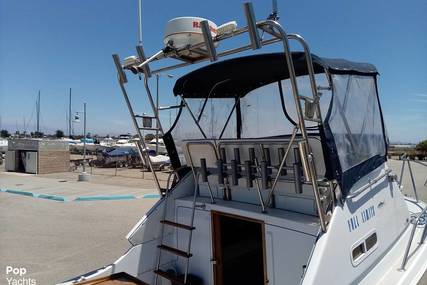 Skipjack 24 flybridge