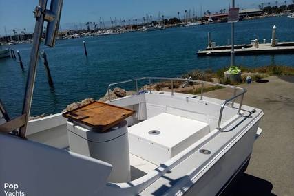 Skipjack 24 flybridge