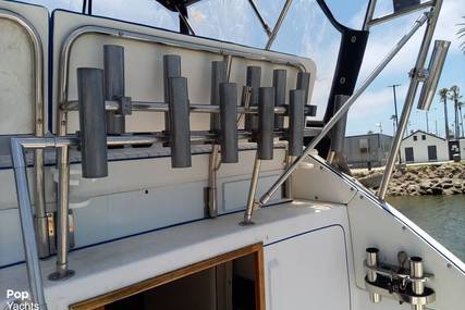 Skipjack 24 flybridge