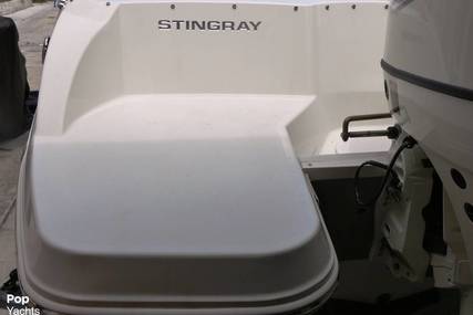 Stingray 191 Dc