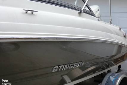 Stingray 191 Dc