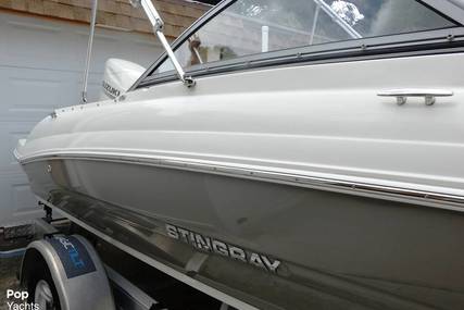 Stingray 191 Dc