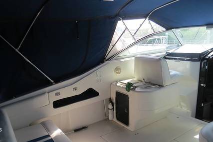 Sea Ray 350 EC