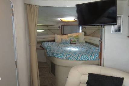 Sea Ray 350 EC