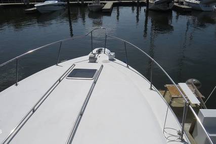 Sea Ray 350 EC