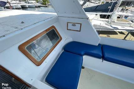 Trader 47' Tradewinds