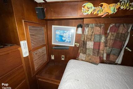 Trader 47' Tradewinds