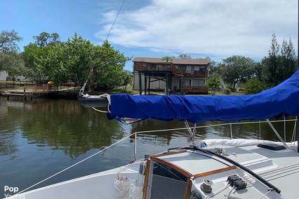 Freedom Yachts 21 Shoal