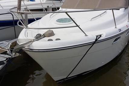 Bayliner 3488 Command Bridge Motoryacht