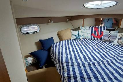 Bayliner 3488 Command Bridge Motoryacht