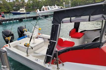 Force Boats 21WA