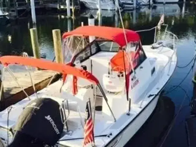 Boston Whaler 21 Walkaround