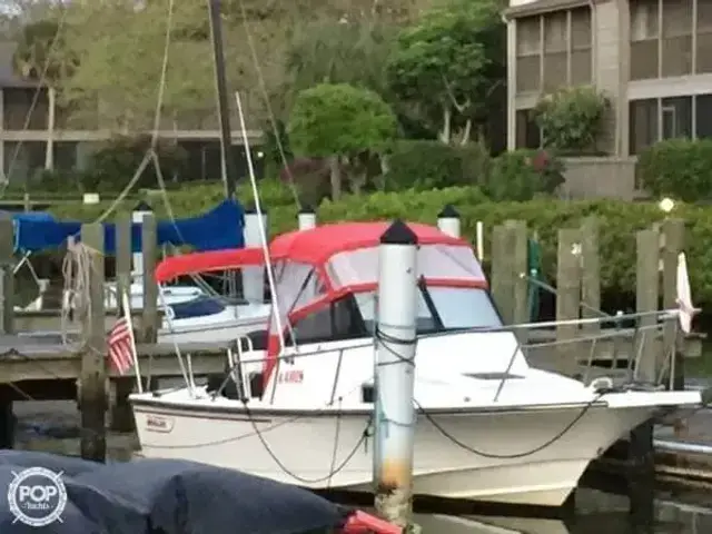 Boston Whaler 21 Walkaround