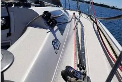 Hobie Cat 33