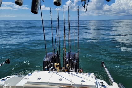 Baja 250 Sportfish