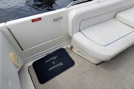 Sea Ray 37 Express Cruiser