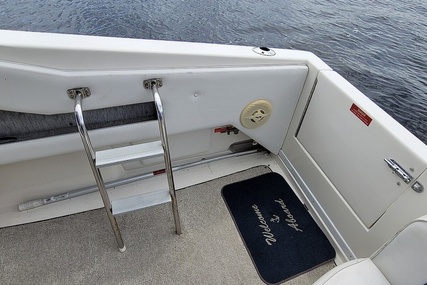 Sea Ray 37 Express Cruiser