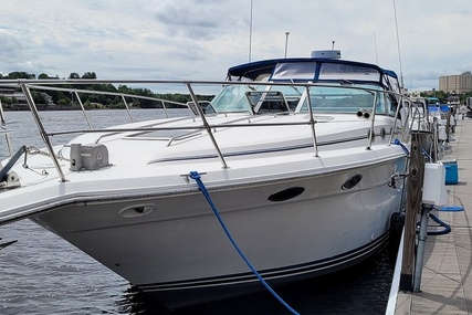 Sea Ray 37 Express Cruiser