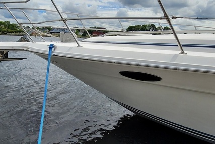 Sea Ray 37 Express Cruiser