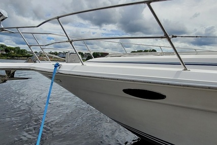 Sea Ray 37 Express Cruiser