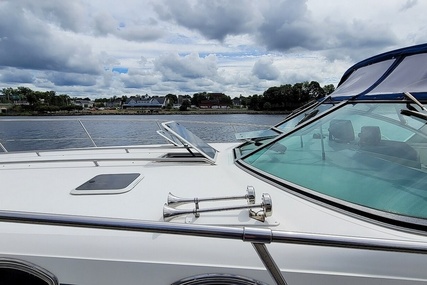 Sea Ray 37 Express Cruiser