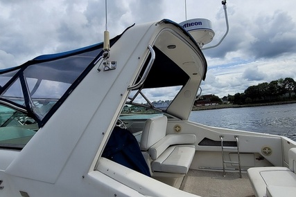 Sea Ray 37 Express Cruiser