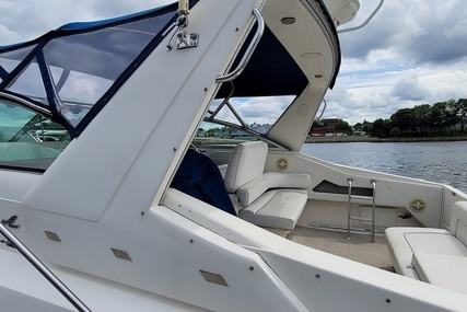 Sea Ray 37 Express Cruiser