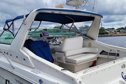 Sea Ray 37 Express Cruiser