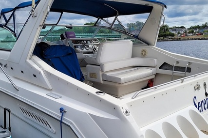 Sea Ray 37 Express Cruiser