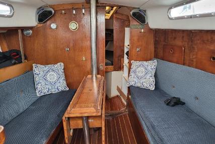 Albin Comfort 30