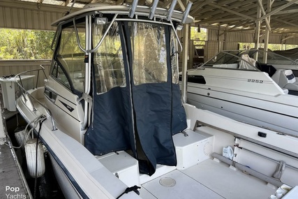 Grady White Explorer 245