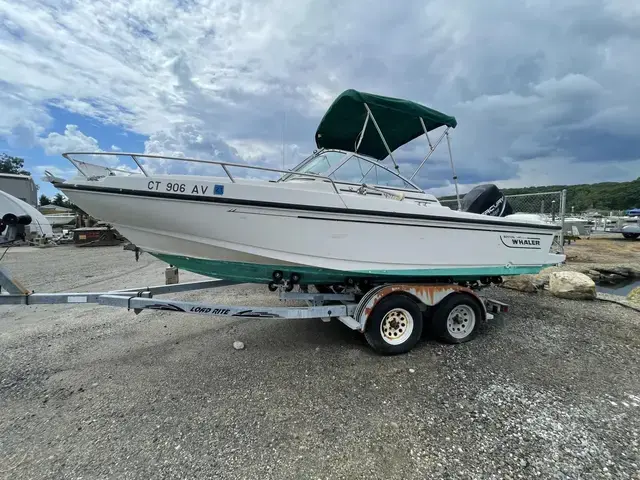 Boston Whaler Ventura