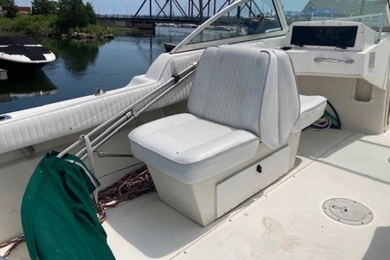 Boston Whaler Ventura