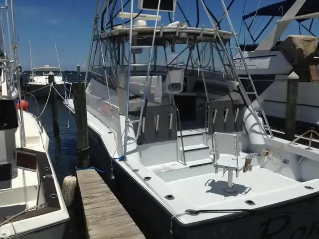 Luhrs 34 Tournament Sports Fisher