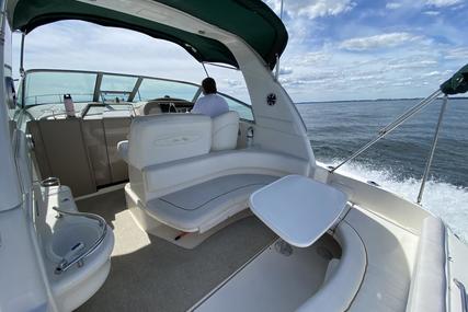 Sea Ray 310 Express Cruiser