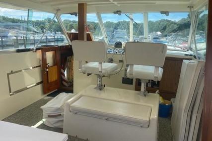 Hatteras 48 Yacht Fish