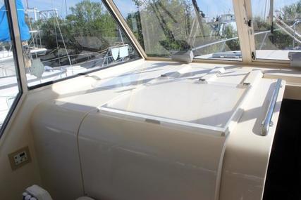 Mainship Boats 34 Pilot Sedan Rum Runner