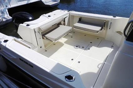 Quicksilver 755 Pilothouse