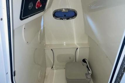 Boston Whaler 270 Dauntless