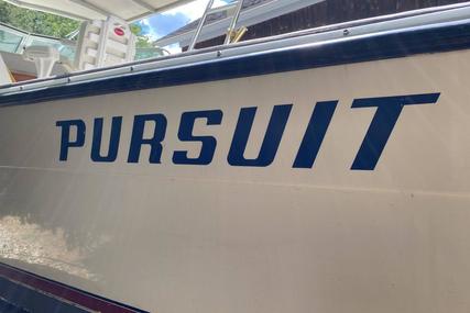 Pursuit Cuddy Cabin