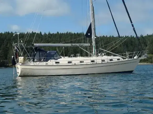 Island Packet 45